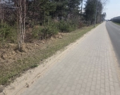 Usługowa, blisko Szosy Lubelskiej, MPZP, drzewa | Zdjęcie 7