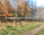 Sprzedam działkę zadrzewioną w gm Mykanw | Zdjęcie 8