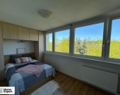 2pok, 50met, okolice Bacciarellego BALKON/PIWNICA/WINDA (Wrocław) | Zdjęcie 3