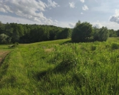 Działka w Lipnicy Dolnej - 99 arów | Zdjęcie 4