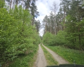Działka inwestycyjna (3012 met) okolice Wrocławia (Ostrowina) | Zdjęcie 9