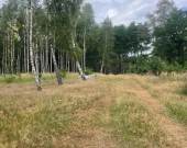 Działki budowlane w Klotyldzinie | Zdjęcie 3