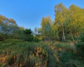 wz, lokalizacja, możliwość dokupienia działek obok | Zdjęcie 6