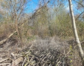 Doskoinała działka pod budowę domu jednorodzinnego | Zdjęcie 1