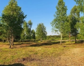 7 działek, ul. Szlachty, drzewa, niedługo MPZP | Zdjęcie 1