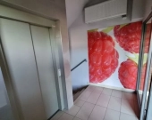 2pok, 53met, Okolice Krzemienieckiej BALKON/WINDA (Wrocław) | Zdjęcie 9