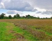 Działki rolne na sprzedaż w obrębie Gałowa | Zdjęcie 7