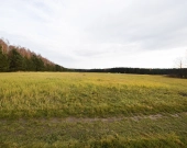 Malownicza działka 1,22 ha przy lesie – Radawie | Zdjęcie 6