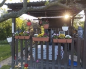 Działka Rekreacyjna (300 m2) ul. Norwida ALTANKA (Kluczbork) | Zdjęcie 5