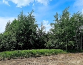 Działka, Zielona Góra | Zdjęcie 4