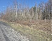 z prywatnym lasem, za działką też stare lasy | Zdjęcie 5