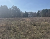 została tylko jedna, wz, prąd, lasy i droga gminna | Zdjęcie 4