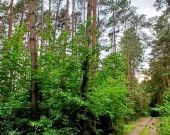 Działka dla Ciebie i Twojej rodziny dom/rekreacja Włodzimierz | Zdjęcie 9