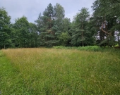 Działka budowlana (6000 m2) okolice Twardogóry JEZIORO/LAS | Zdjęcie 5