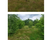 Udział 1/2 w nieruchomości gruntowej niezabudowanej Dębowa Góra | Zdjęcie 1