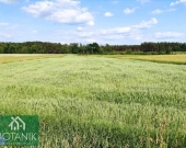 Działka, Krasne | Zdjęcie 2