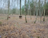 Działka w otoczeniu lasu, nad Zalewem Siemianówka | Zdjęcie 4