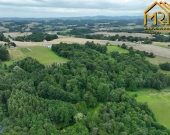 Działka leśna w gminie Ryglice | Zdjęcie 7