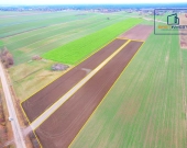 Spokojna okolica, świetna lokalizacja - działki w Lipie | Zdjęcie 7