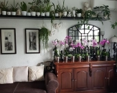 1pok, 33met, Okolice Lelewela BALKON/PIWNICA/PARKING (Wrocław) | Zdjęcie 3