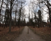 1pok, 24met, okolice Parku Prackiego TARAS/PO REMONCIE (Wrocław) | Zdjęcie 9