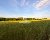 Kameralne działki budowlane w Kłodawie, 17-25 ar | Zdjęcie 2