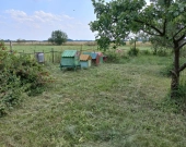 Dom wolnostojący 250m2 | Działka 34ar | Budynki | Zdjęcie 8