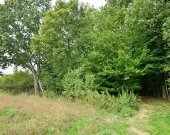 Działki rolne na sprzedaż w obrębie Gałowa | Zdjęcie 5