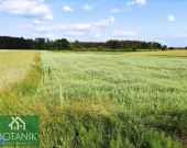 Działka, Krasne | Zdjęcie 4