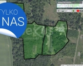 Tereny utwardzone o pow. od 200m2 do 30000m2 | Zdjęcie 4