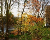 3pok, 45met, Okolice Oławianej PO REMONCIE/BALKON (Wrocław) | Zdjęcie 11