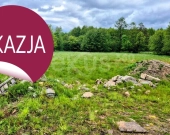 DZIAŁKA INWESTYCYJNA 4500 m²-SOSNÓWKA k. KAPRACZA | Zdjęcie 5