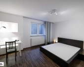 4pok, 101met, Okolice Rzecznej OGRÓD/2009 (Wrocław) | Zdjęcie 3