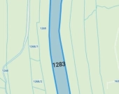 Lipnica Dolna - 7 hektarów 33 ary | Zdjęcie 7