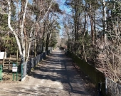 Działka budowlana na sprzedaż- Szałe! | Zdjęcie 3