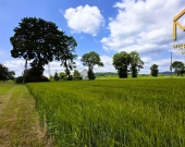 Działka pod zabudowę mieszkaniowo-usługową na gran | Zdjęcie 8