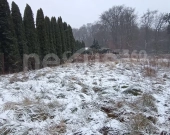 IDEALNY TEREN POD INWESTYCJĘ - Borowa | Zdjęcie 4