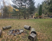 nieduża przy Klonowej, media, drzewa, lokalizacja | Zdjęcie 8