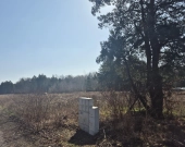 została tylko jedna, wz, prąd, lasy i droga gminna | Zdjęcie 9