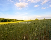 Kameralne działki budowlane w Kłodawie, 17-25 ar | Zdjęcie 3