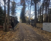 nieduża przy Klonowej, media, drzewa, lokalizacja | Zdjęcie 1