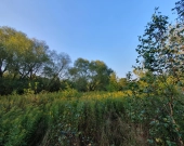 wz, lokalizacja, możliwość dokupienia działek obok | Zdjęcie 4