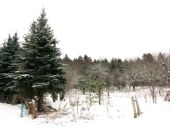 Działka budowlana 50 metrów od jeziora. | Zdjęcie 2