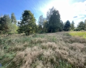 WZ | Media | Zalew w Suchedniowie | Kamionka | Dro | Zdjęcie 9