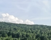 Lipnica Dolna - 7 hektarów 33 ary | Zdjęcie 5