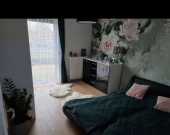 3pok 62met, Okolice Kurlandzkiej OGRÓD/KOMÓRKA/2MP (Wrocław) | Zdjęcie 1