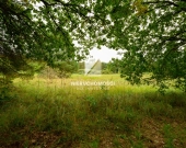 Santoczno,, działka budowlana 1489 mkw przy lesie | Zdjęcie 4