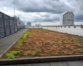 1pok, 18met, Okolice Koszarowej WINDA/2022 (Wrocław) | Zdjęcie 11