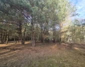 z wz, drzewami, w okolicy Kąpielisko, stacja PKP | Zdjęcie 8