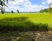 Działka pod zabudowę mieszkaniowo-usługową na gran | Zdjęcie 7